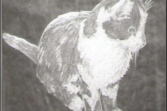 Scan0047