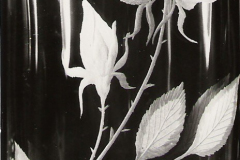 Scan0100