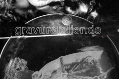 pferdeportrait-frau