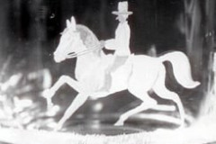 1-dressur-b-68