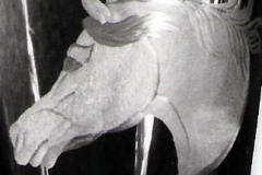 pferdekopf-34