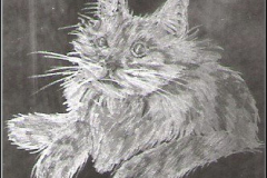 Scan0046