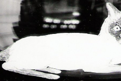 Scan0055
