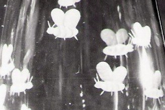 Scan0058