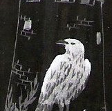 Scan0061