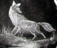 fuchs