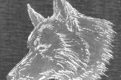 YAKUMO DIGITAL CAMERA