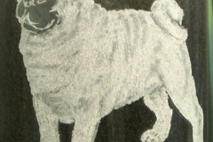 YAKUMO DIGITAL CAMERA